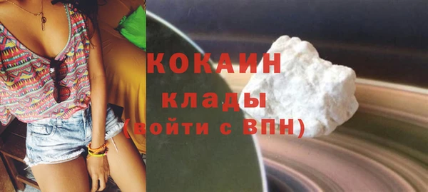 сатива Лихославль