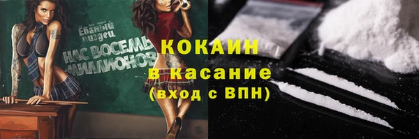 сатива Лихославль