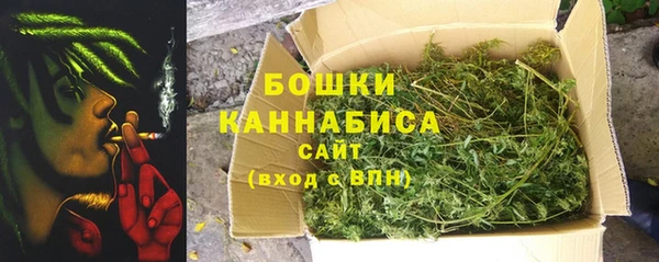 сатива Лихославль