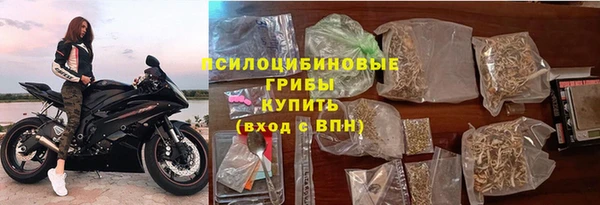 сатива Лихославль