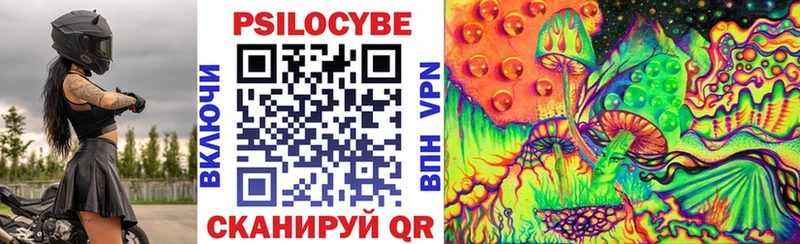 Купить закладки  Байкальск  Галлюциногенные грибы Psilocybe 